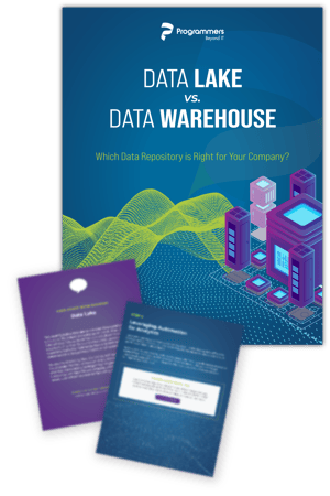 data lakes vs warehouses@2x
